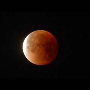 Meet your Posher, Rita